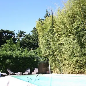 Des Dames , Avignon France