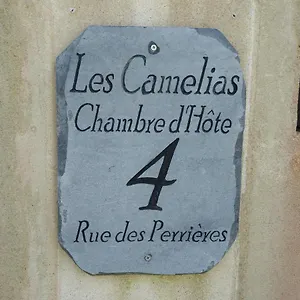 Les Camelias , Binic France